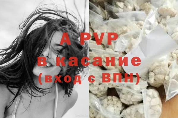 спайс Михайлов