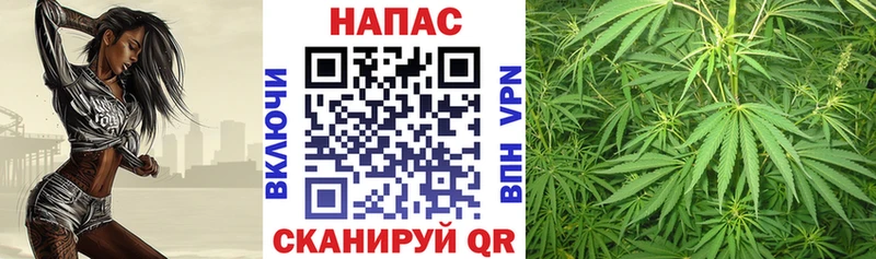 Бошки Шишки White Widow Райчихинск